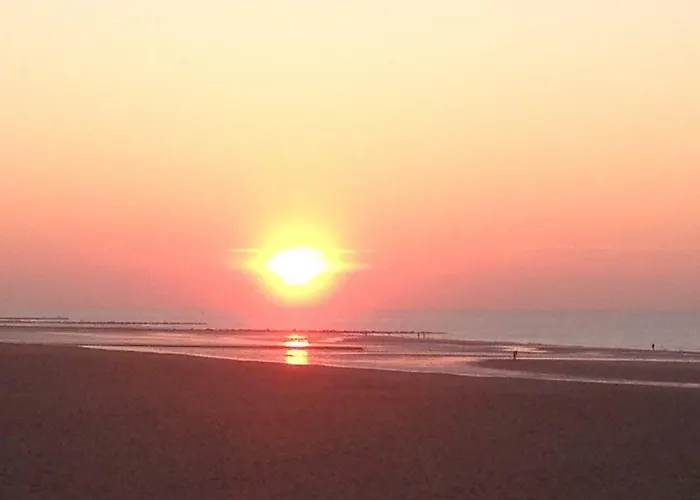 Apartment Hydro Palace *